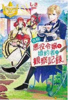 overflow动漫番剧